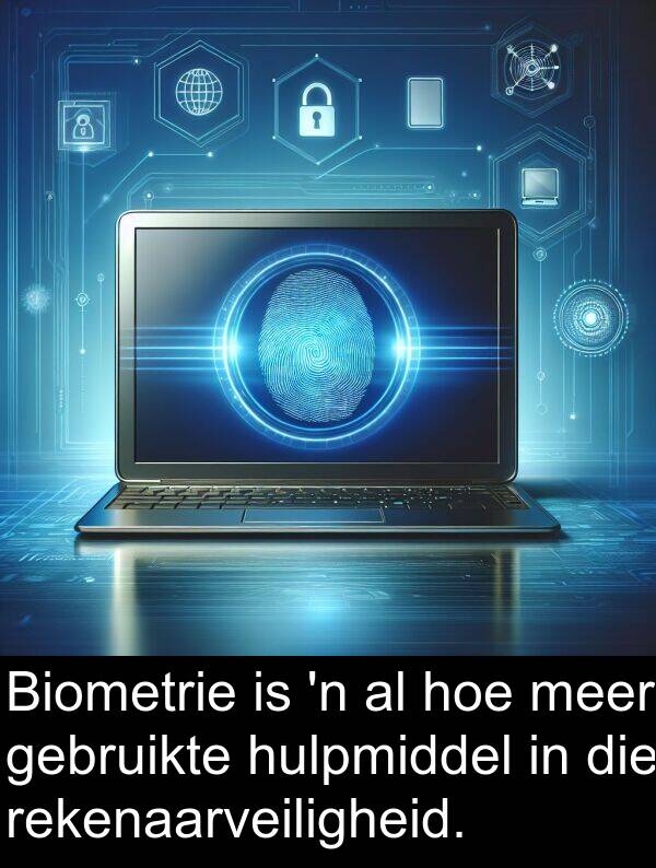 hoe: Biometrie is 'n al hoe meer gebruikte hulpmiddel in die rekenaarveiligheid.