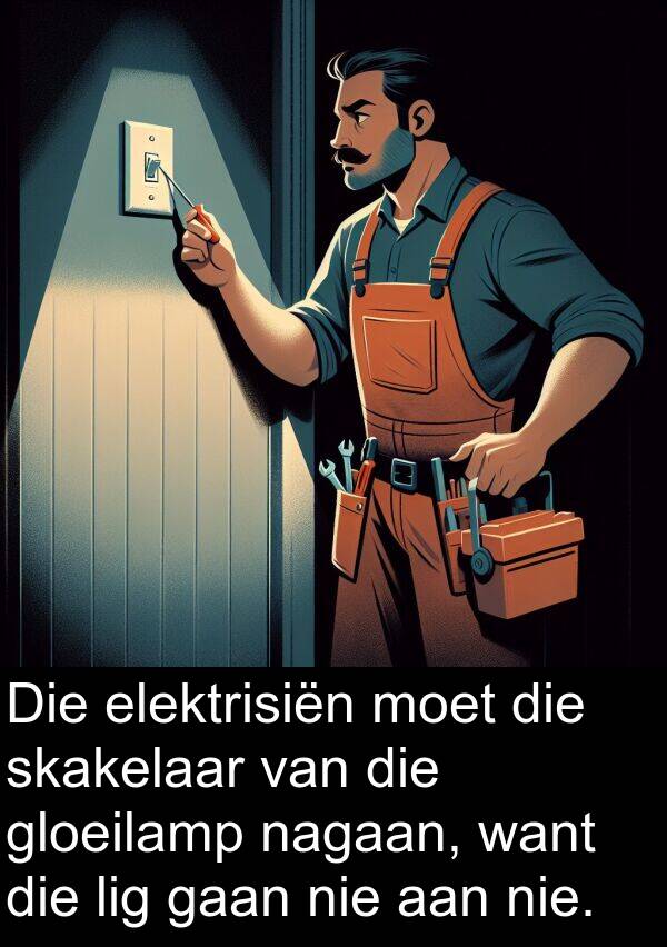 nagaan: Die elektrisiën moet die skakelaar van die gloeilamp nagaan, want die lig gaan nie aan nie.