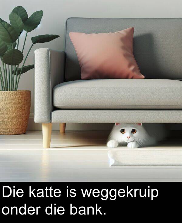 bank: Die katte is weggekruip onder die bank.