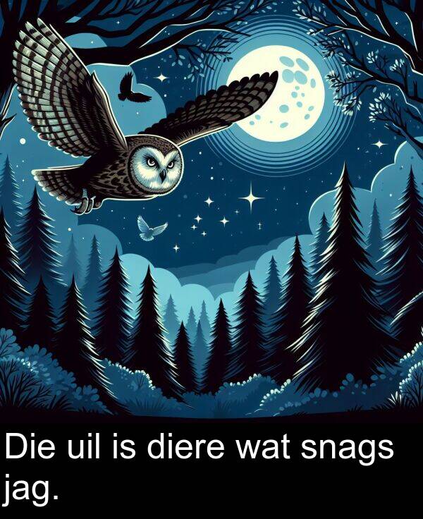 wat: Die uil is diere wat snags jag.