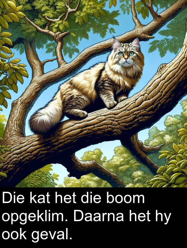 ook: Die kat het die boom opgeklim. Daarna het hy ook geval.