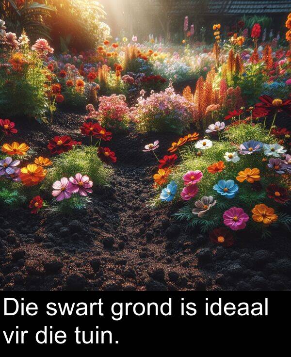 tuin: Die swart grond is ideaal vir die tuin.