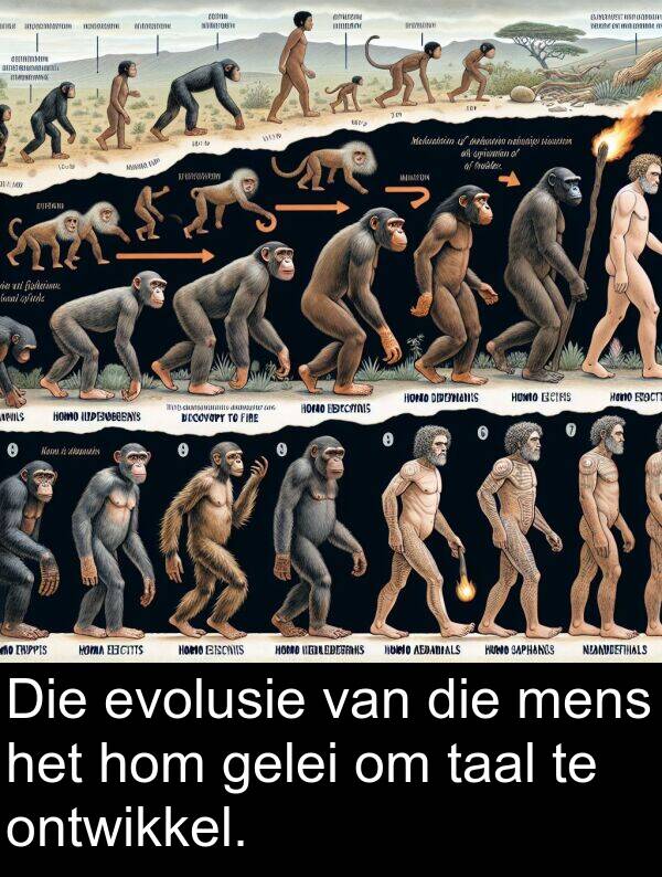 gelei: Die evolusie van die mens het hom gelei om taal te ontwikkel.