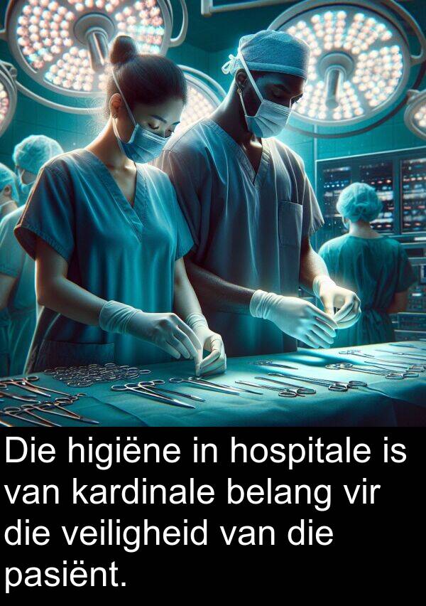 belang: Die higiëne in hospitale is van kardinale belang vir die veiligheid van die pasiënt.