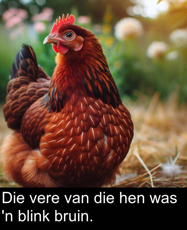 hen: Die vere van die hen was 'n blink bruin.