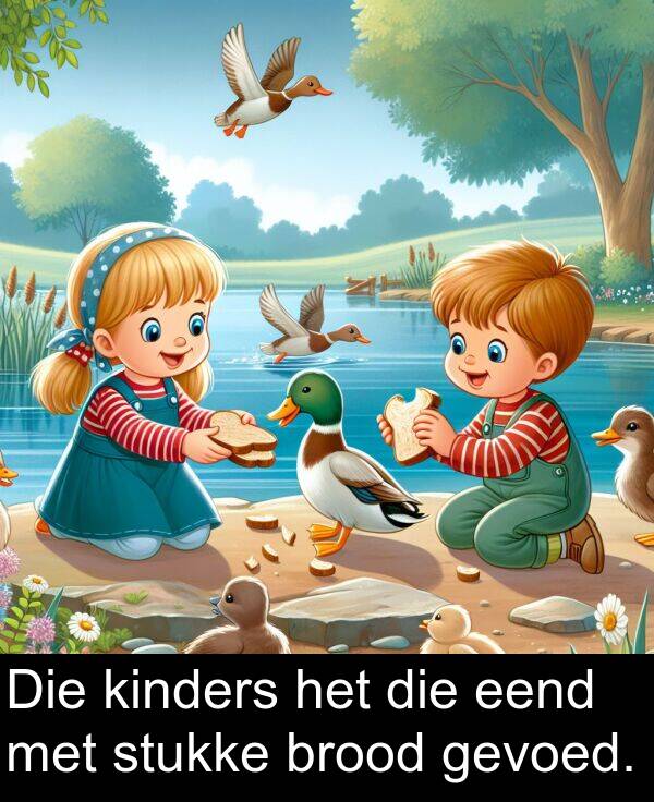 kinders: Die kinders het die eend met stukke brood gevoed.