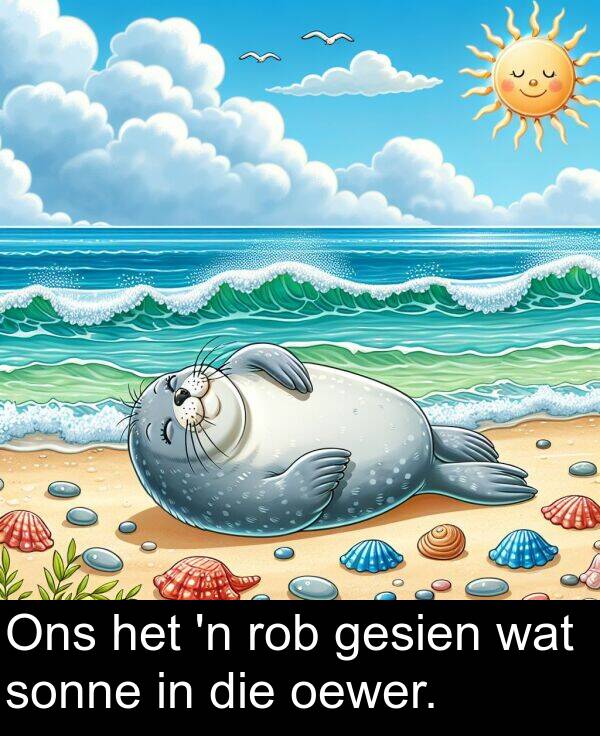 oewer: Ons het 'n rob gesien wat sonne in die oewer.