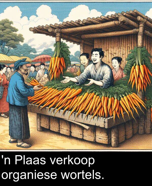 verkoop: 'n Plaas verkoop organiese wortels.