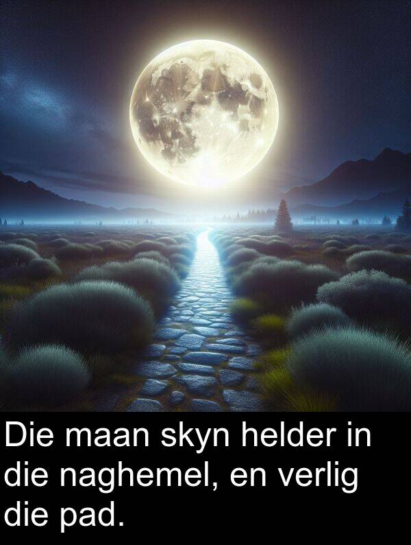 naghemel: Die maan skyn helder in die naghemel, en verlig die pad.