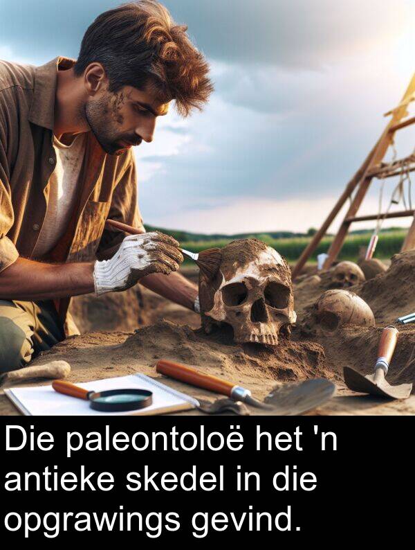 paleontoloë: Die paleontoloë het 'n antieke skedel in die opgrawings gevind.