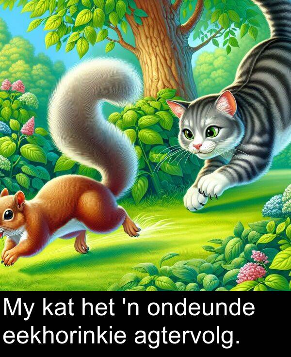 ondeunde: My kat het 'n ondeunde eekhorinkie agtervolg.