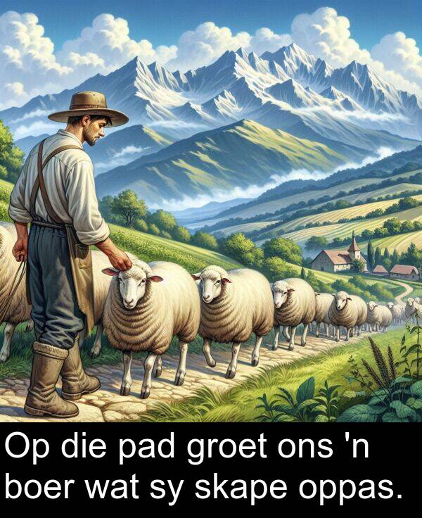 pad: Op die pad groet ons 'n boer wat sy skape oppas.