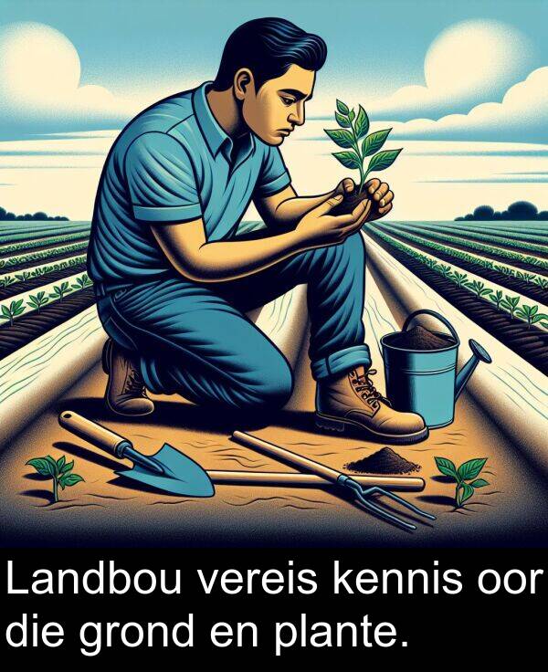 plante: Landbou vereis kennis oor die grond en plante.