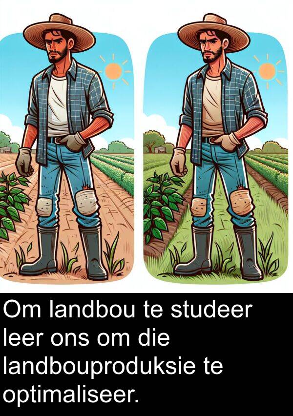 leer: Om landbou te studeer leer ons om die landbouproduksie te optimaliseer.