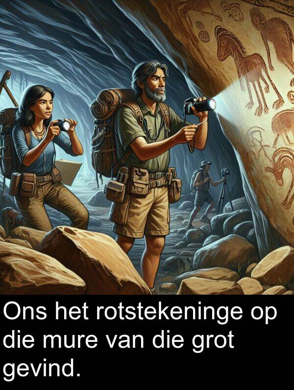 rotstekeninge: Ons het rotstekeninge op die mure van die grot gevind.