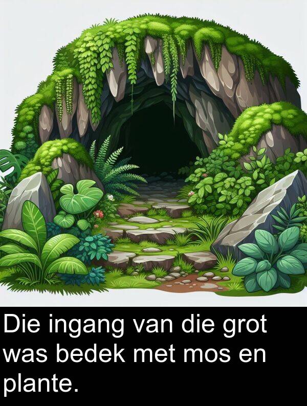 bedek: Die ingang van die grot was bedek met mos en plante.