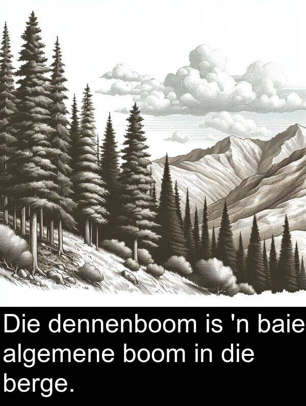 berge: Die dennenboom is 'n baie algemene boom in die berge.