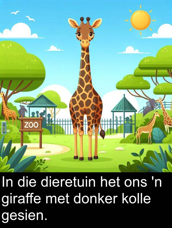 kolle: In die dieretuin het ons 'n giraffe met donker kolle gesien.