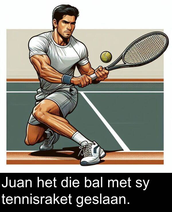 tennisraket: Juan het die bal met sy tennisraket geslaan.