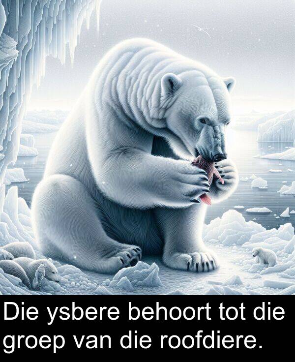 behoort: Die ysbere behoort tot die groep van die roofdiere.