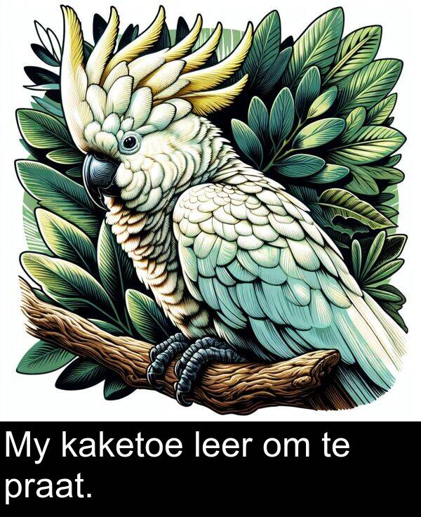 praat: My kaketoe leer om te praat.