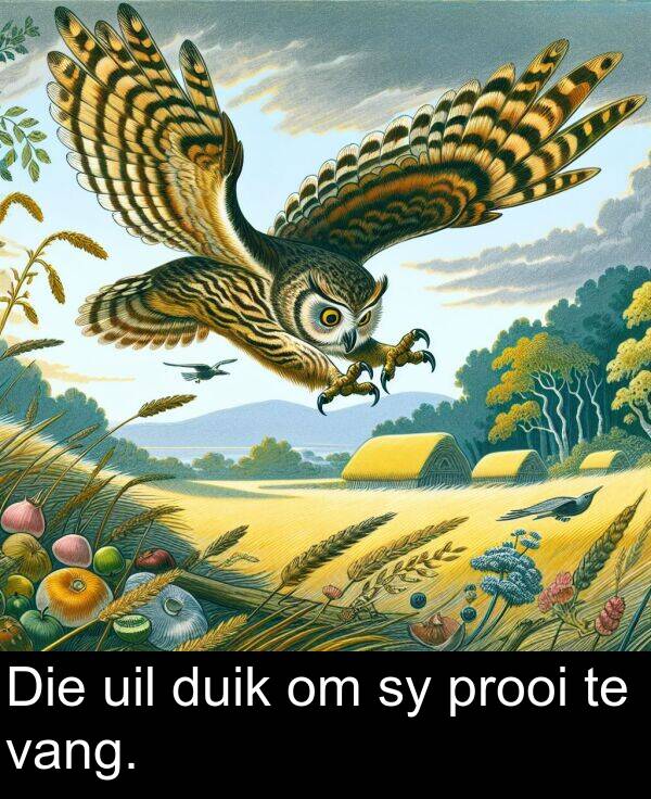 prooi: Die uil duik om sy prooi te vang.