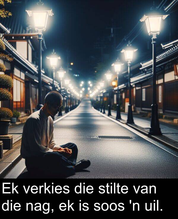 nag: Ek verkies die stilte van die nag, ek is soos 'n uil.