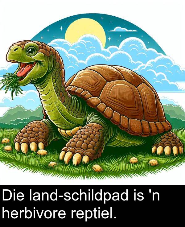 herbivore: Die land-schildpad is 'n herbivore reptiel.