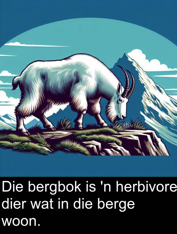 berge: Die bergbok is 'n herbivore dier wat in die berge woon.