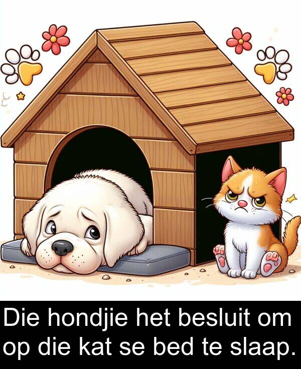 besluit: Die hondjie het besluit om op die kat se bed te slaap.