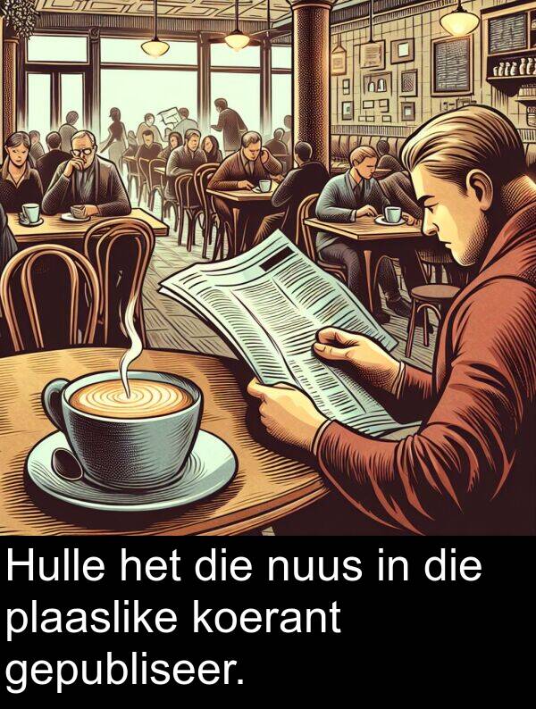 nuus: Hulle het die nuus in die plaaslike koerant gepubliseer.