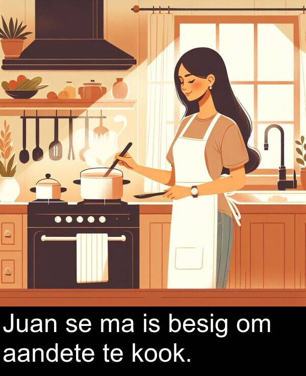 besig: Juan se ma is besig om aandete te kook.