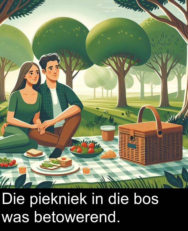 piekniek: Die piekniek in die bos was betowerend.