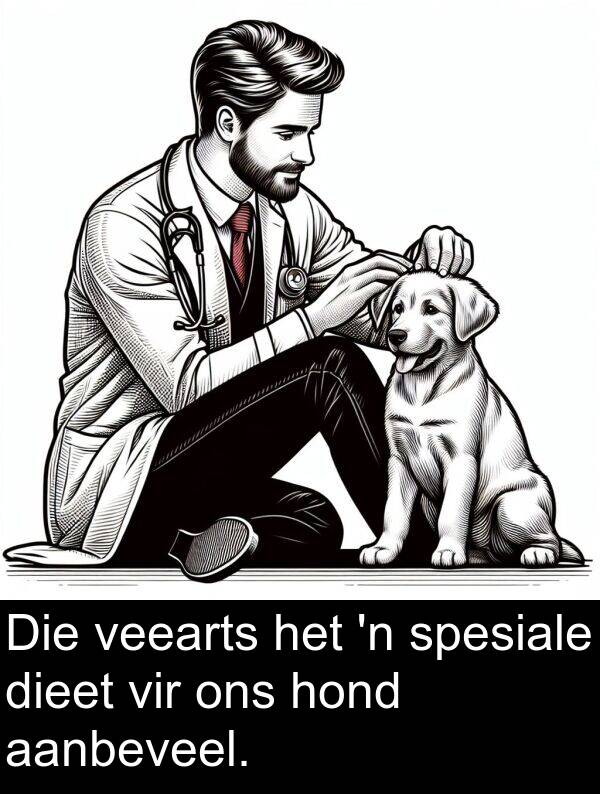 hond: Die veearts het 'n spesiale dieet vir ons hond aanbeveel.