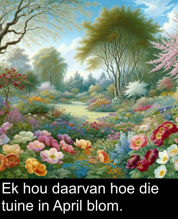 hoe: Ek hou daarvan hoe die tuine in April blom.