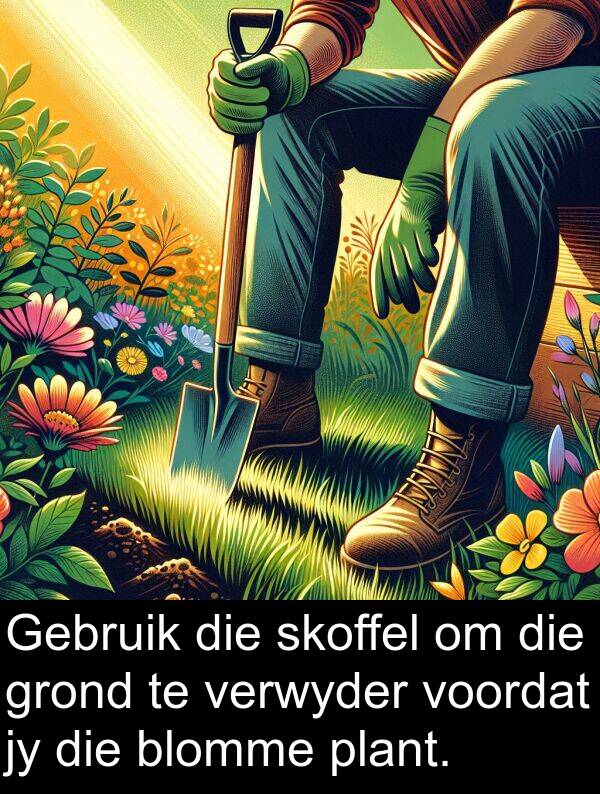 plant: Gebruik die skoffel om die grond te verwyder voordat jy die blomme plant.