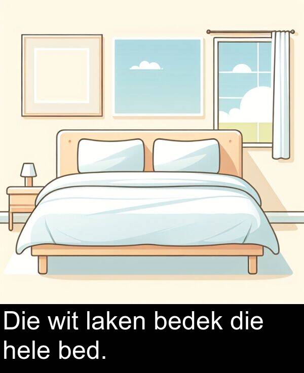 bedek: Die wit laken bedek die hele bed.