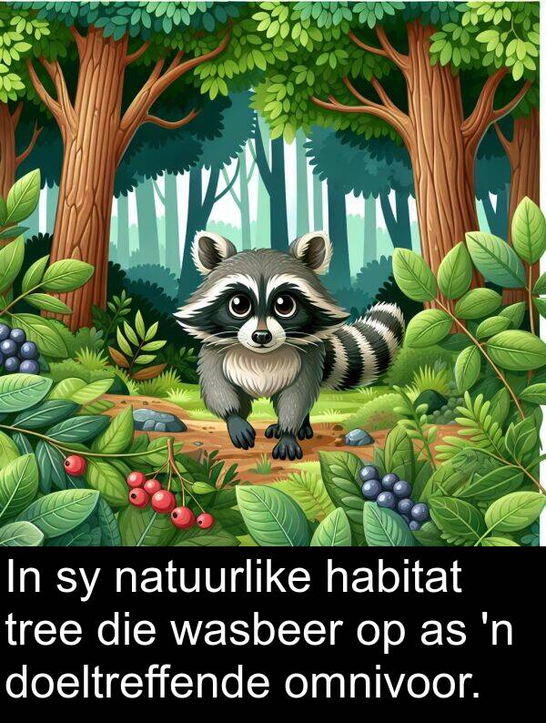 natuurlike: In sy natuurlike habitat tree die wasbeer op as 'n doeltreffende omnivoor.