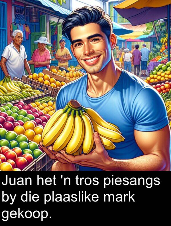 tros: Juan het 'n tros piesangs by die plaaslike mark gekoop.