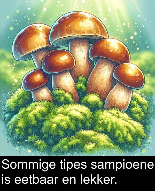 tipes: Sommige tipes sampioene is eetbaar en lekker.