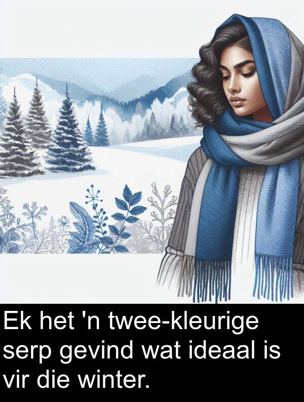 serp: Ek het 'n twee-kleurige serp gevind wat ideaal is vir die winter.