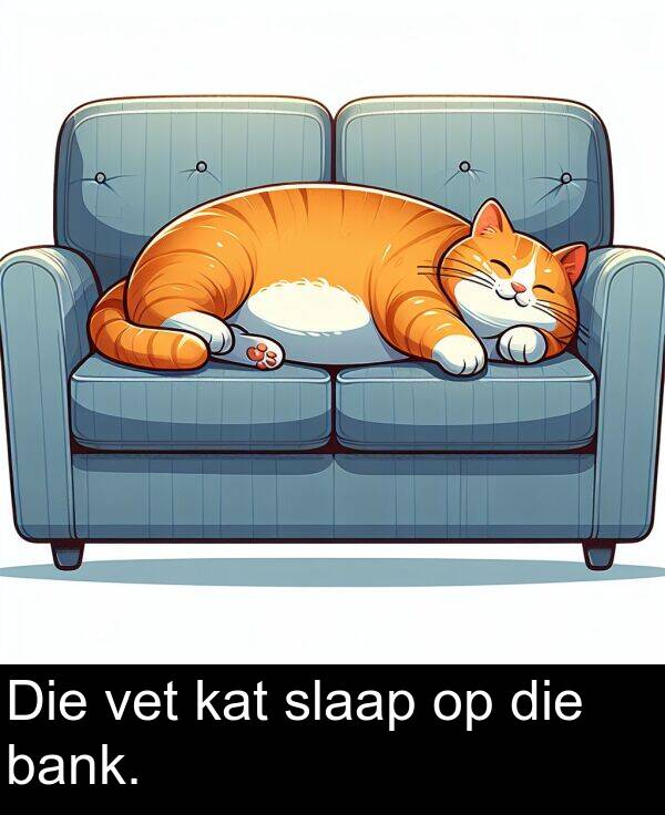 bank: Die vet kat slaap op die bank.