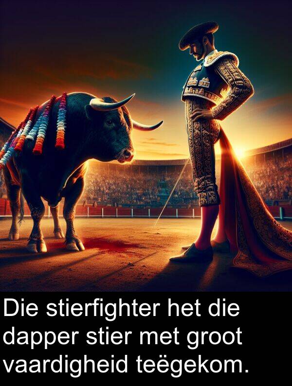 teëgekom: Die stierfighter het die dapper stier met groot vaardigheid teëgekom.