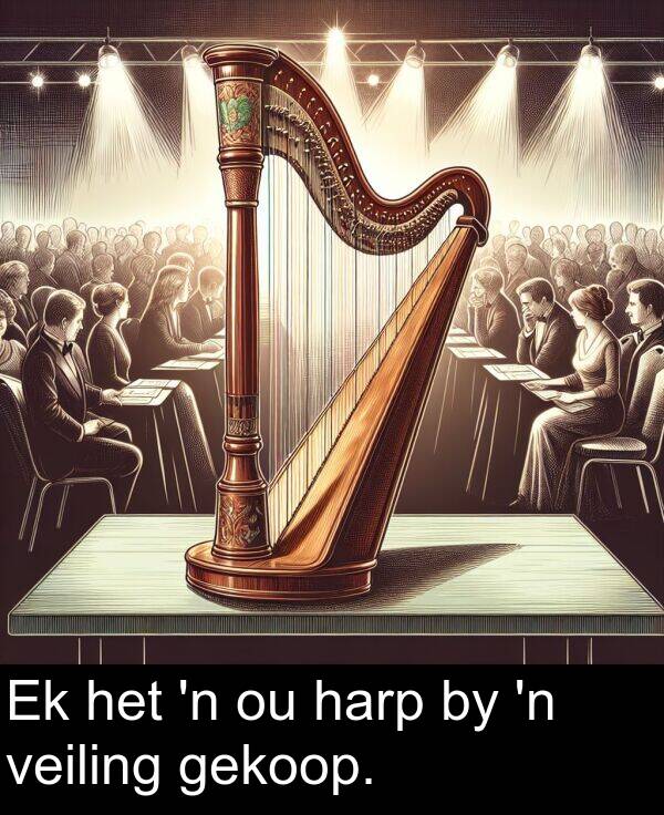 gekoop: Ek het 'n ou harp by 'n veiling gekoop.