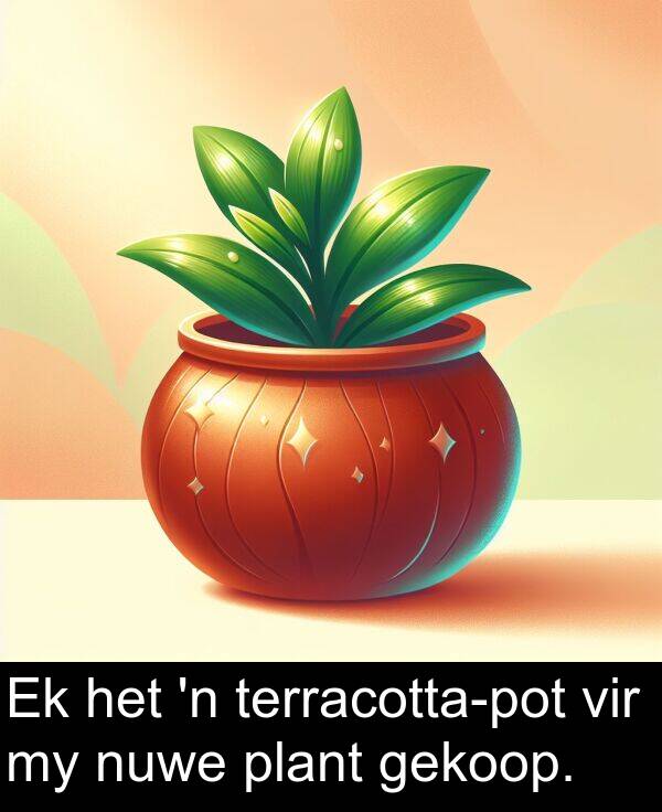 gekoop: Ek het 'n terracotta-pot vir my nuwe plant gekoop.