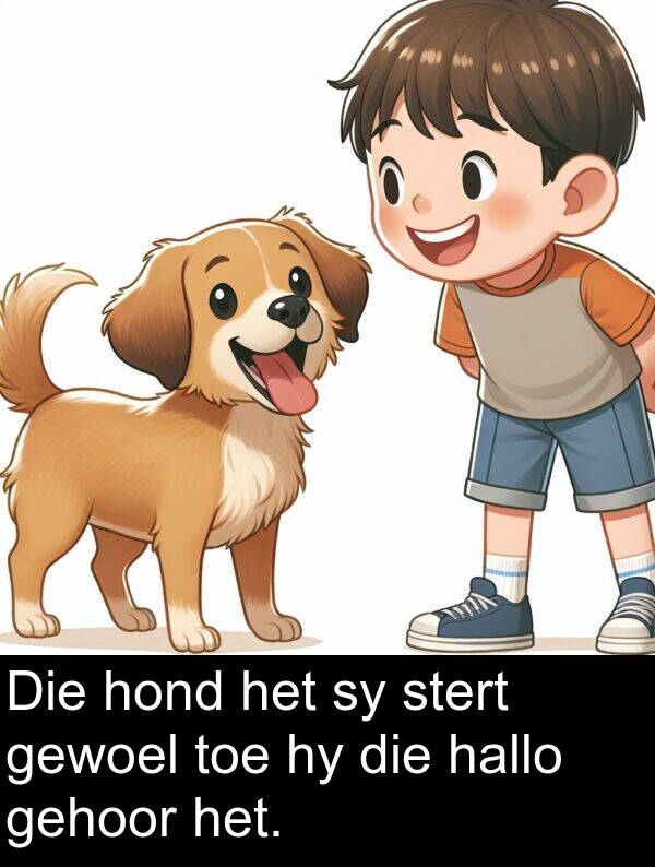 toe: Die hond het sy stert gewoel toe hy die hallo gehoor het.