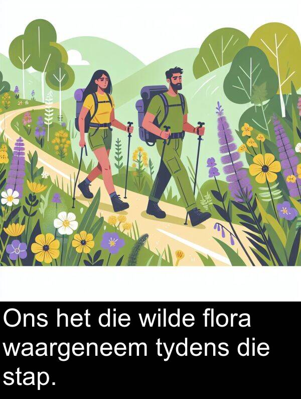 flora: Ons het die wilde flora waargeneem tydens die stap.