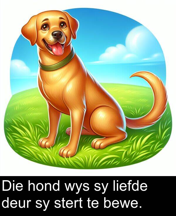 hond: Die hond wys sy liefde deur sy stert te bewe.