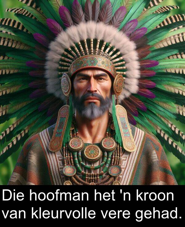 gehad: Die hoofman het 'n kroon van kleurvolle vere gehad.