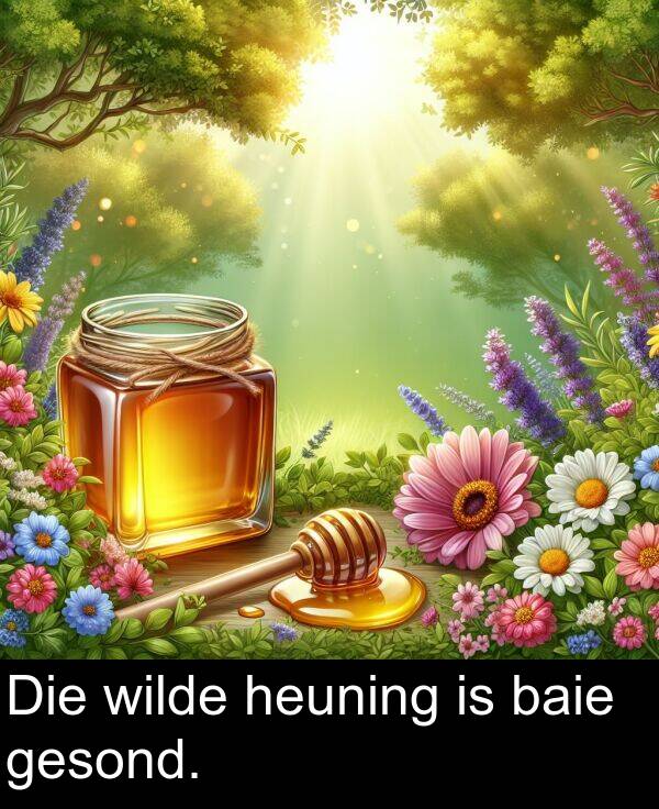 heuning: Die wilde heuning is baie gesond.